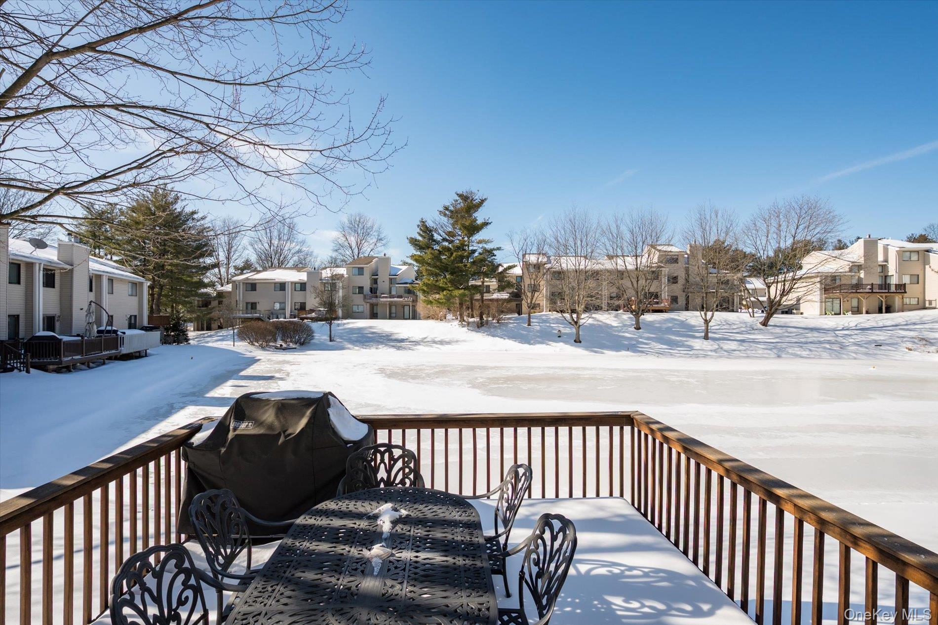 #19 photo, 53 Chestnut Lane, Woodbury , NY 11797