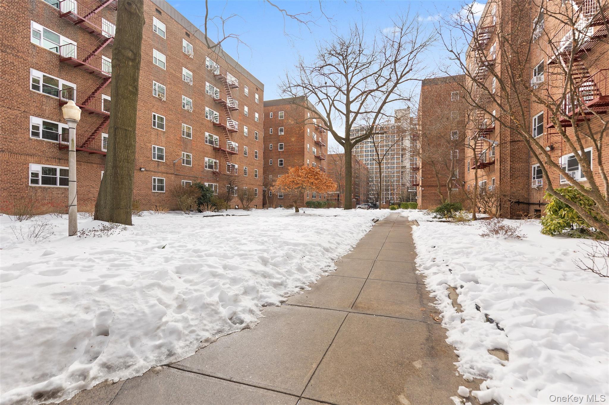 #7 photo, 44-59 Kissena Boulevard, Flushing , NY 11355