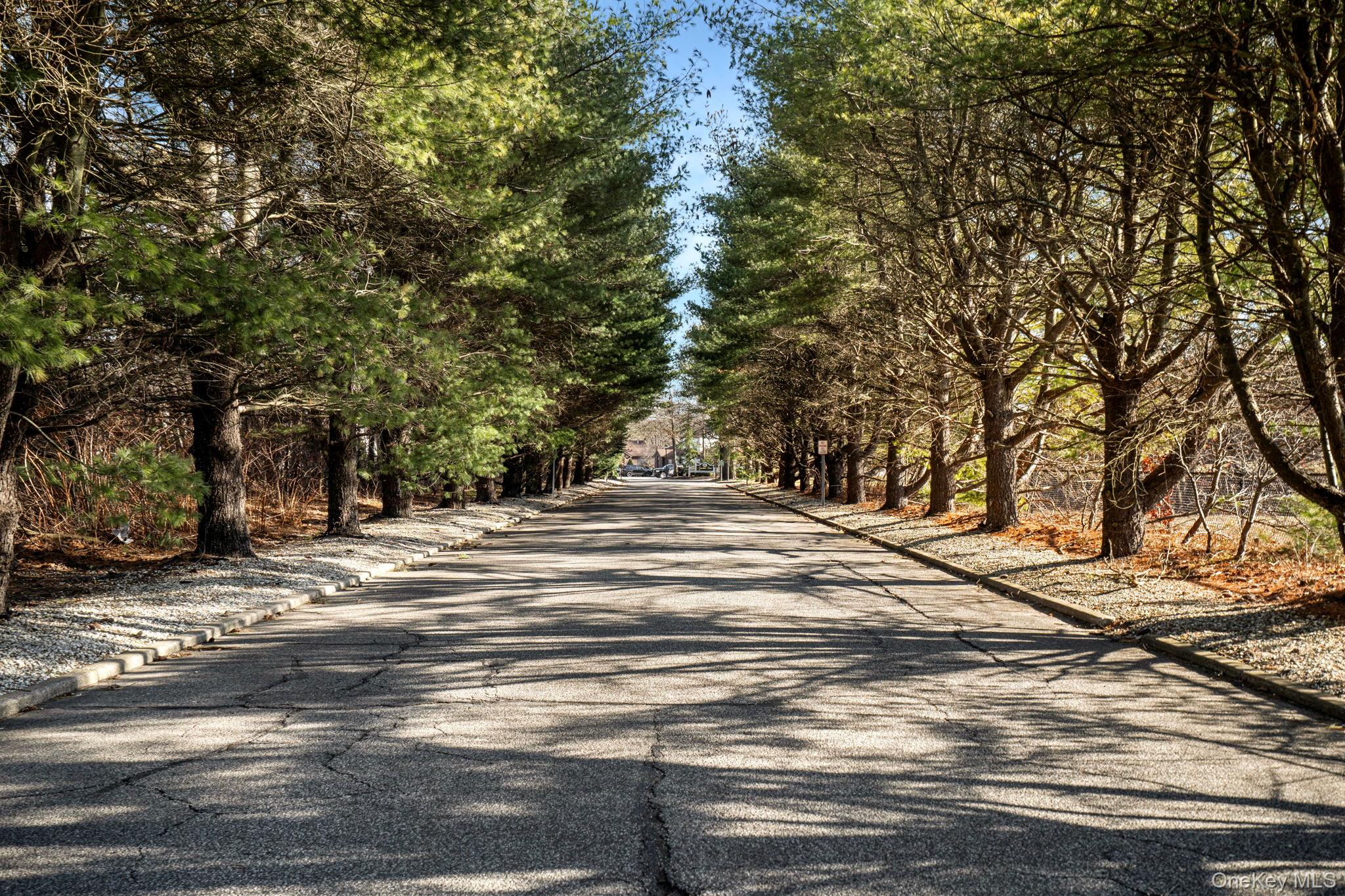 #14 photo, 36 Blue Point Road, Holtsville , NY 11742