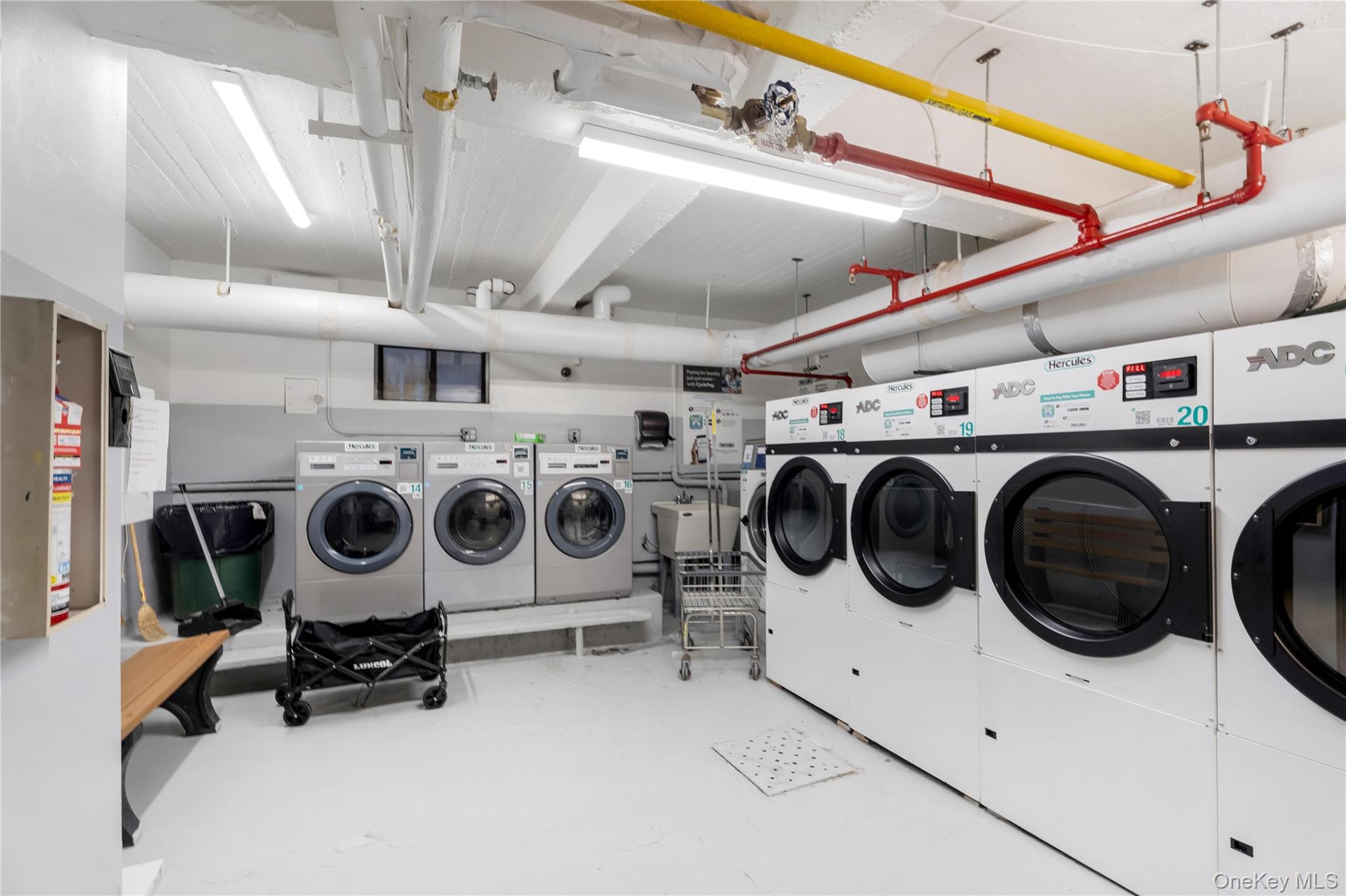 #8 photo, 2211 Bragg Street, Brooklyn , NY 11229