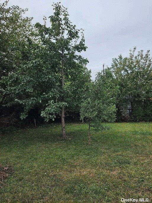 #20 photo, 806 Oliver Avenue, מחוז נסאו Westbury , NY 11590