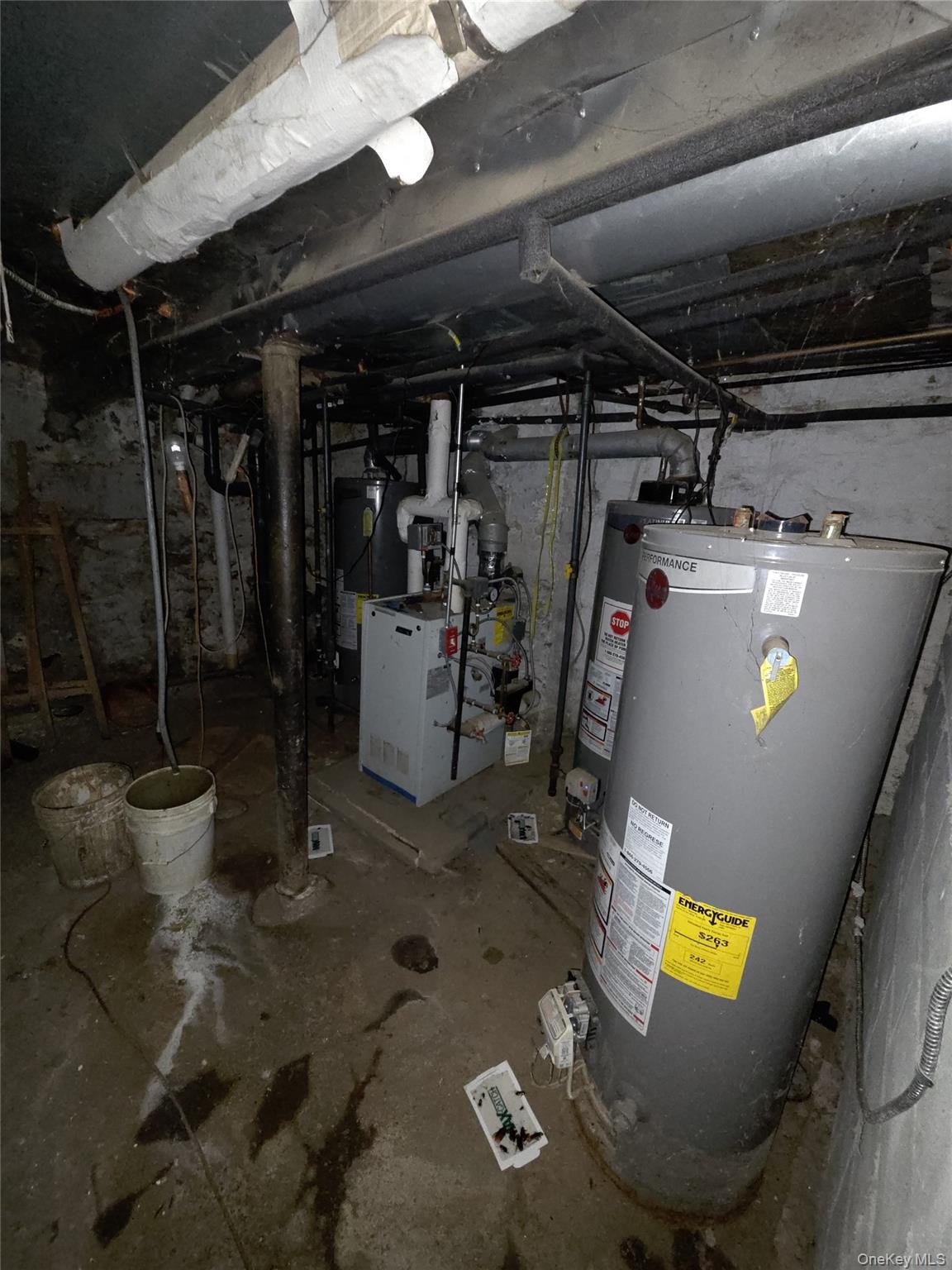 #13 photo, 1638 Eastern Parkway, Бруклин ‖ Brooklyn , NY 11233