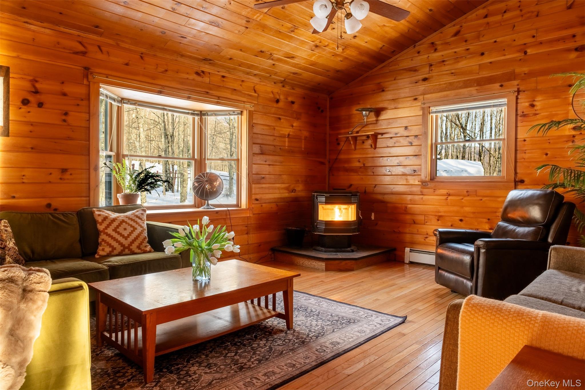 #10 photo, 81 Macdougal Road, Roscoe , NY 12776