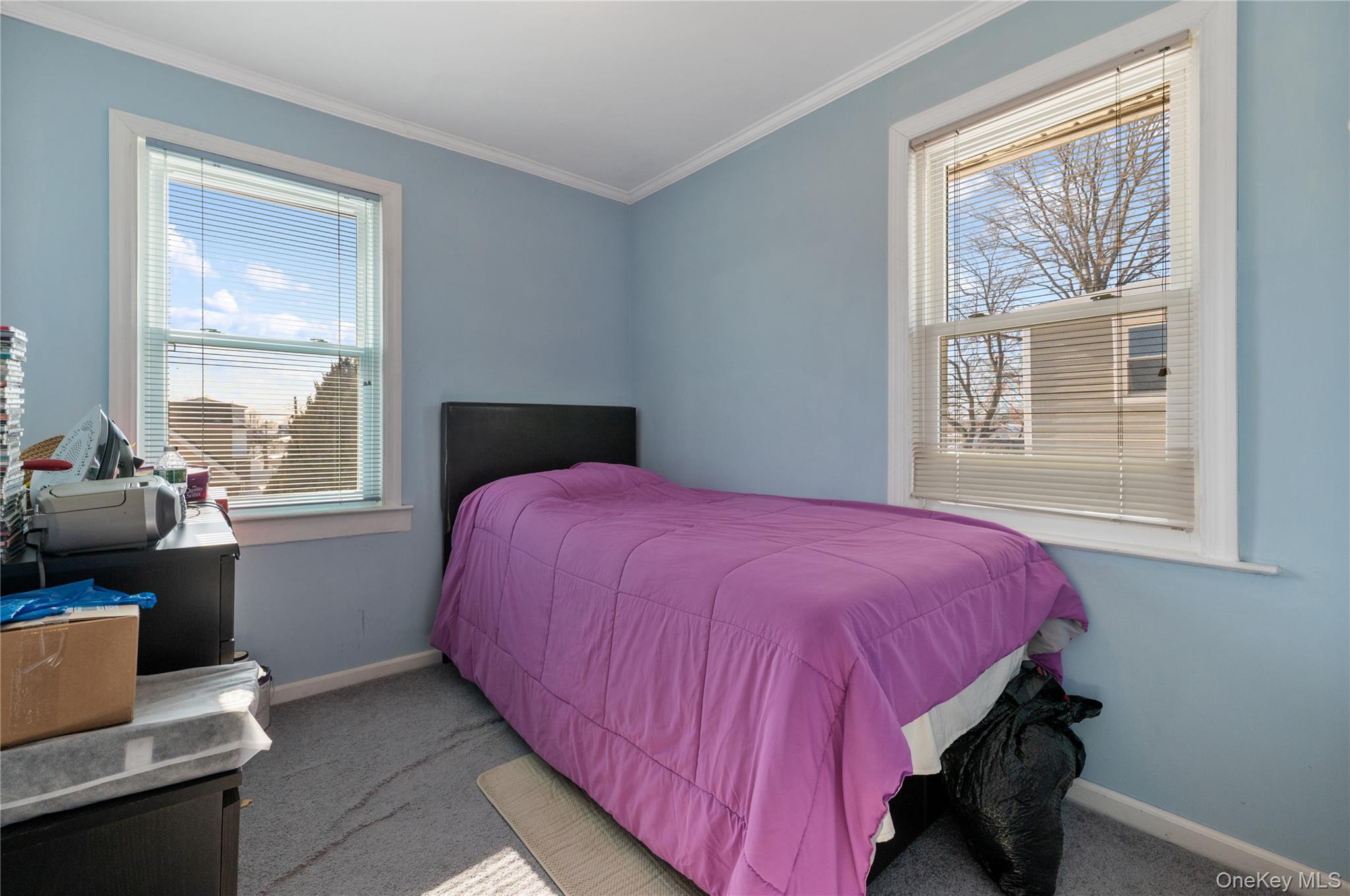 #17 photo, 21706 131st Avenue, Куинс ‖ Springfield Gardens , NY 11413