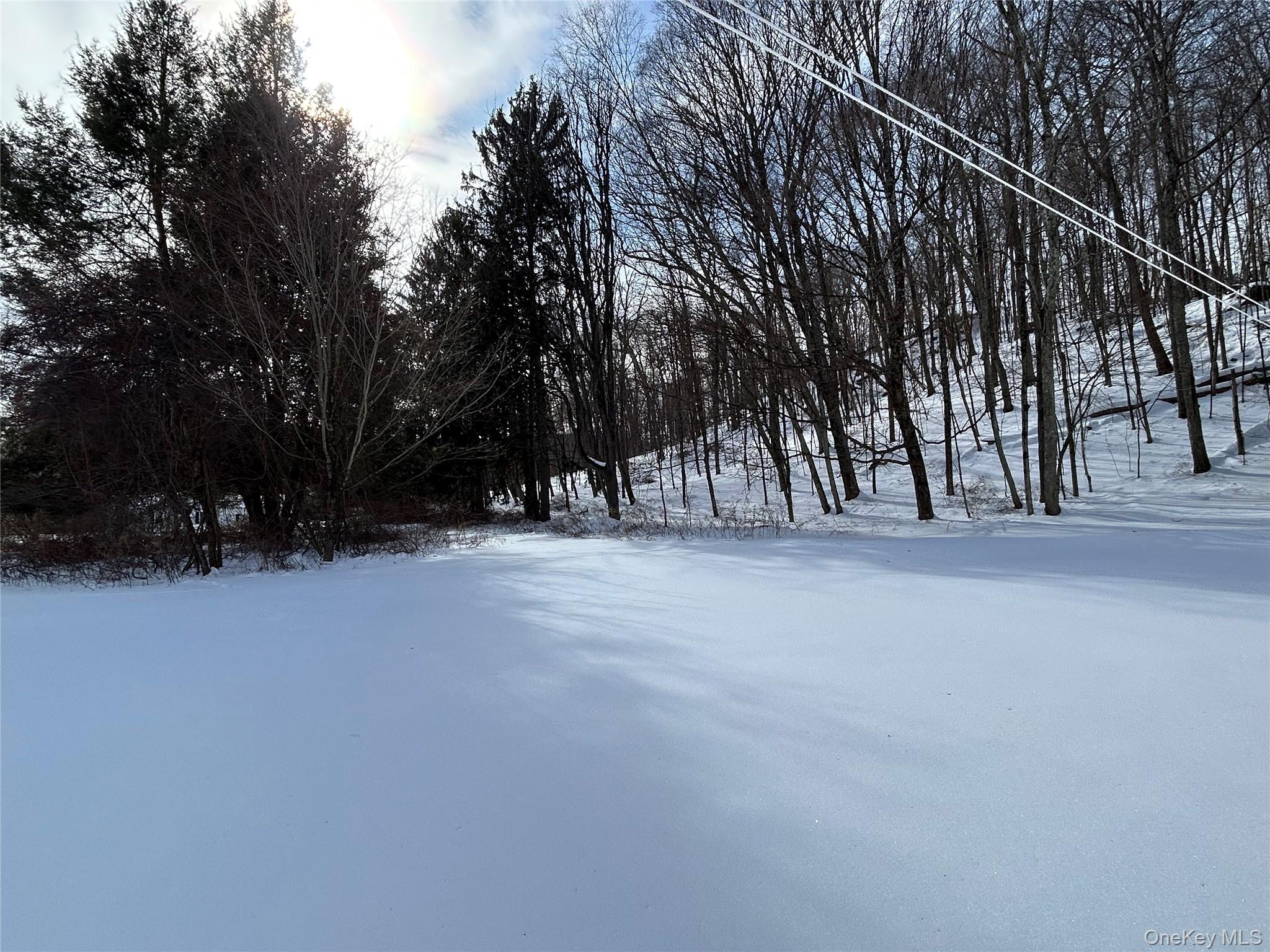 #15 photo, 113 Dog Tail Corners Road, Wingdale , NY 12594