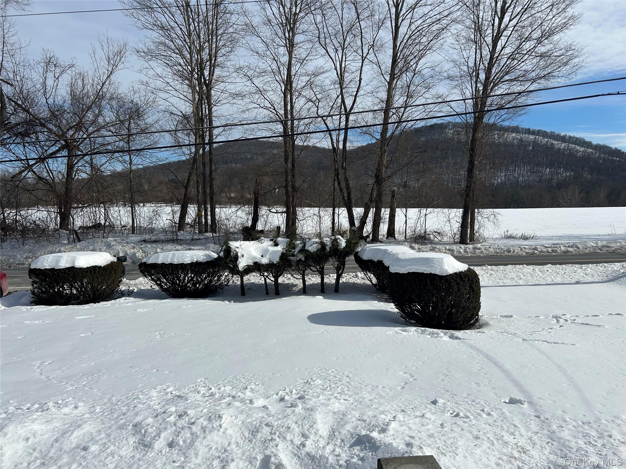 #19 photo, 113 Dog Tail Corners Road, Wingdale , NY 12594