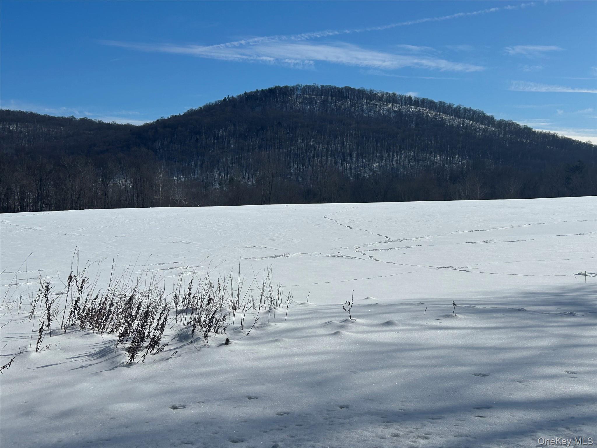 #5 photo, 113 Dog Tail Corners Road, Wingdale , NY 12594