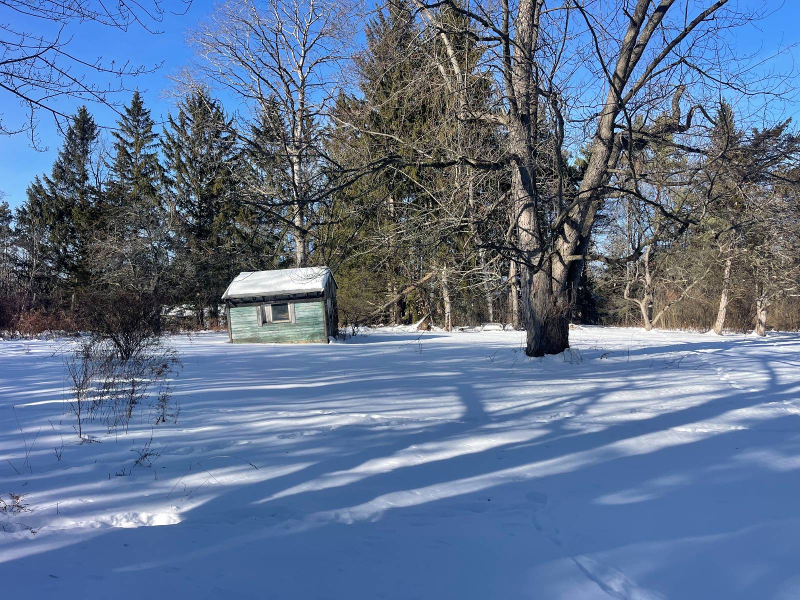 #40 photo, 3 Agawam Lane, Altamont , NY 12009