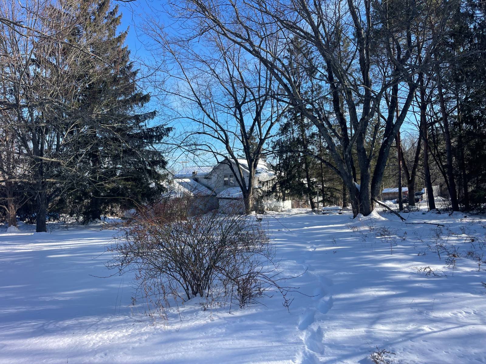 #41 photo, 3 Agawam Lane, Altamont , NY 12009