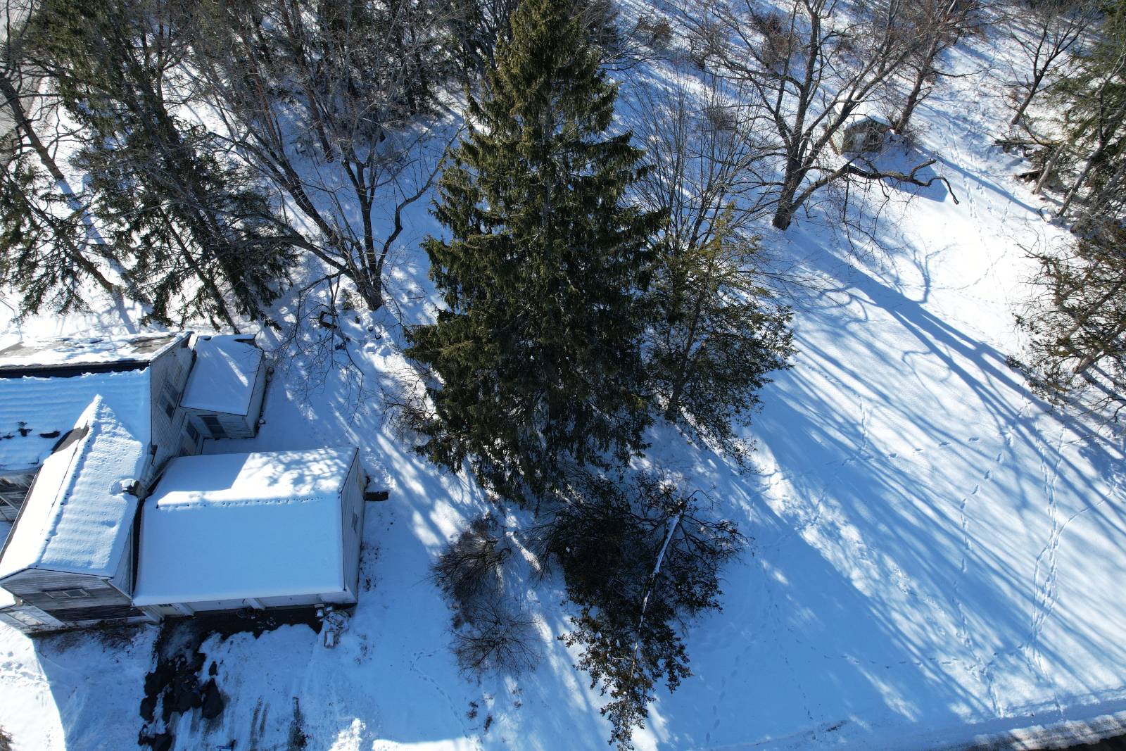 #46 photo, 3 Agawam Lane, Altamont , NY 12009