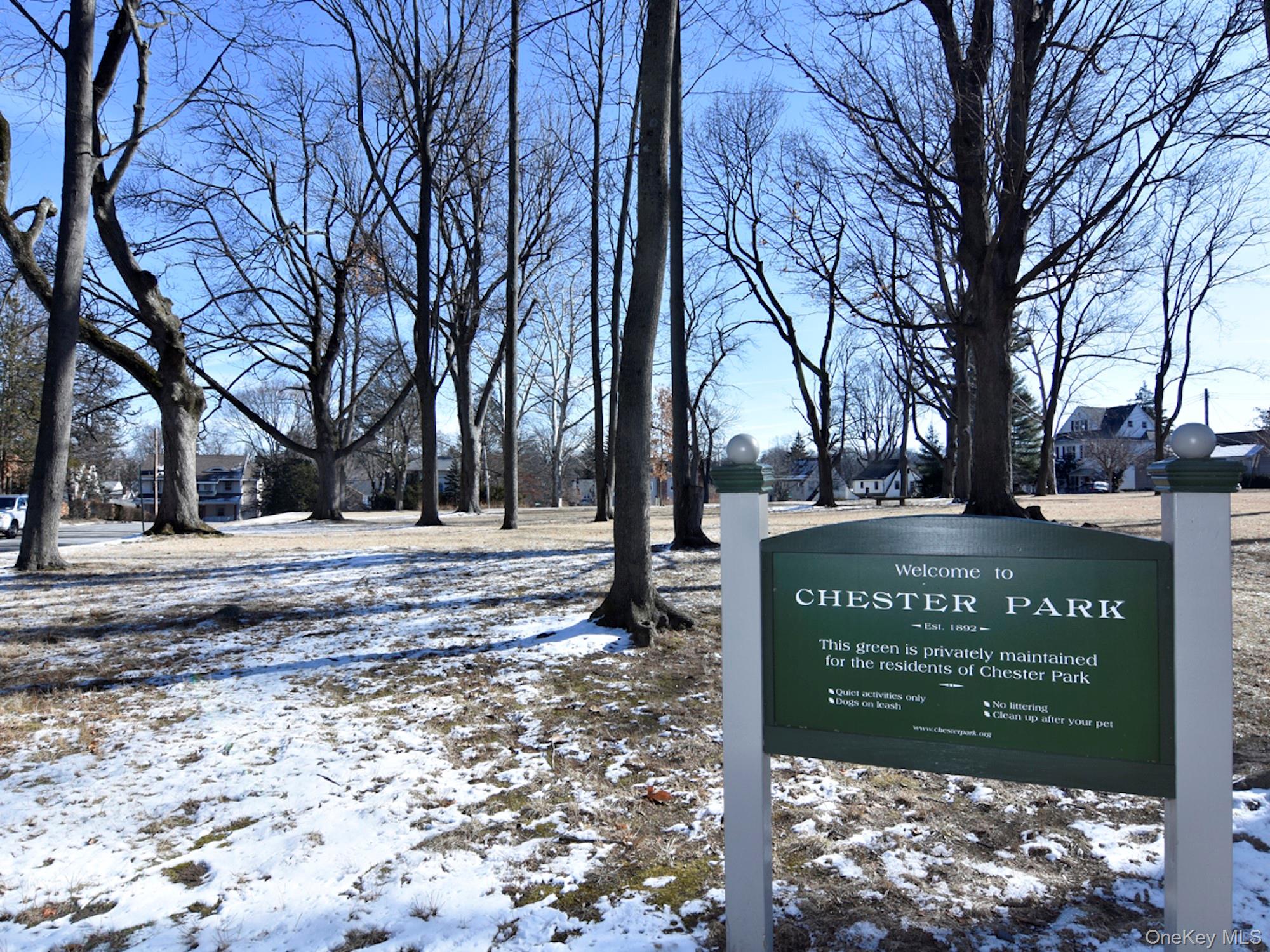 #12 photo, 11 Walnut Avenue, Pelham , NY 10803