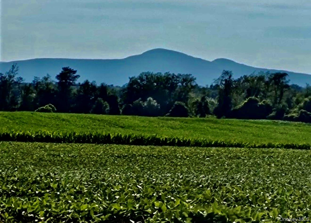 #1 photo, Us 9, Hudson , NY 12541