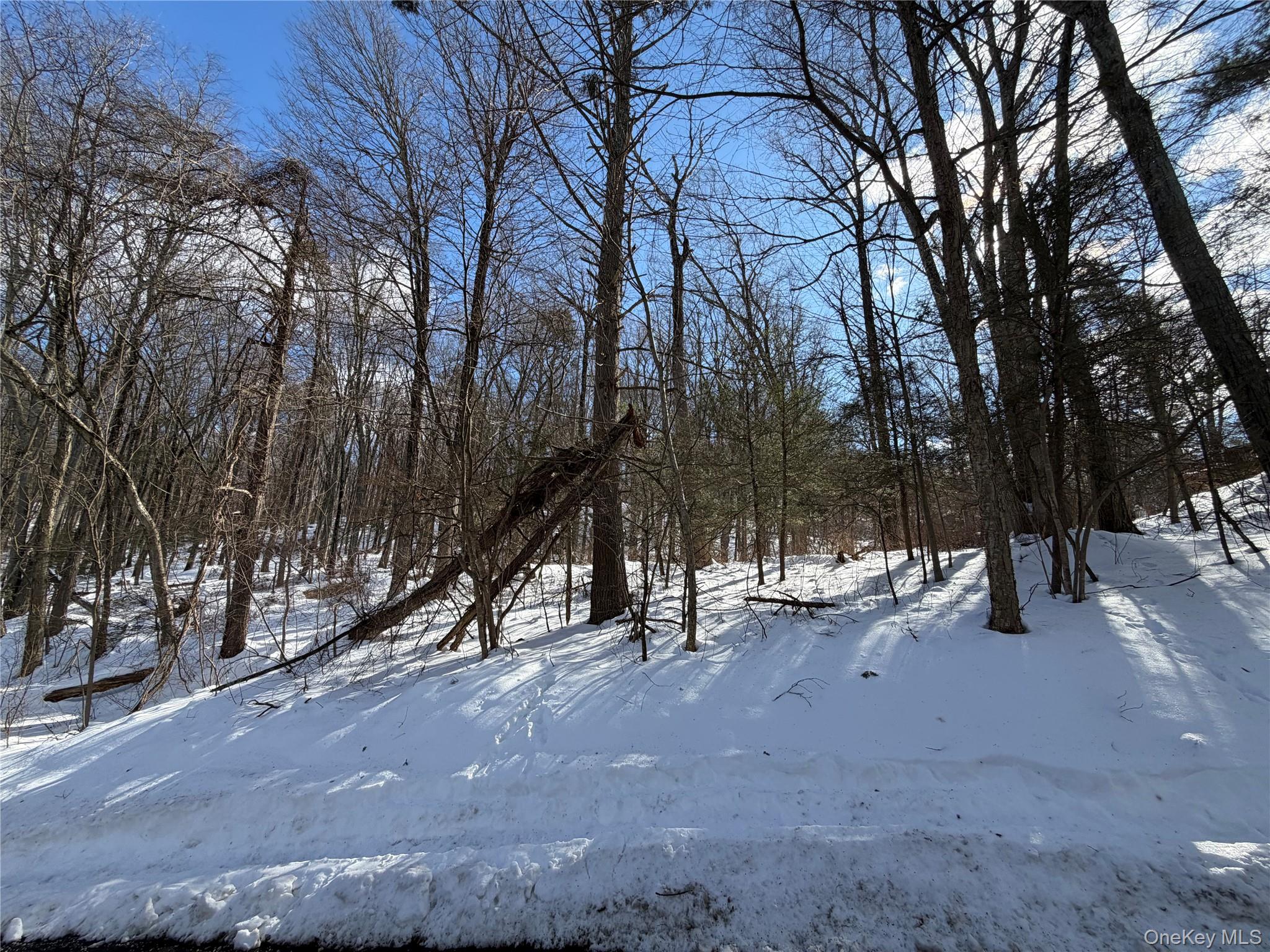 #2 photo, Saw Mill Road, Putnam Valley , NY 10579