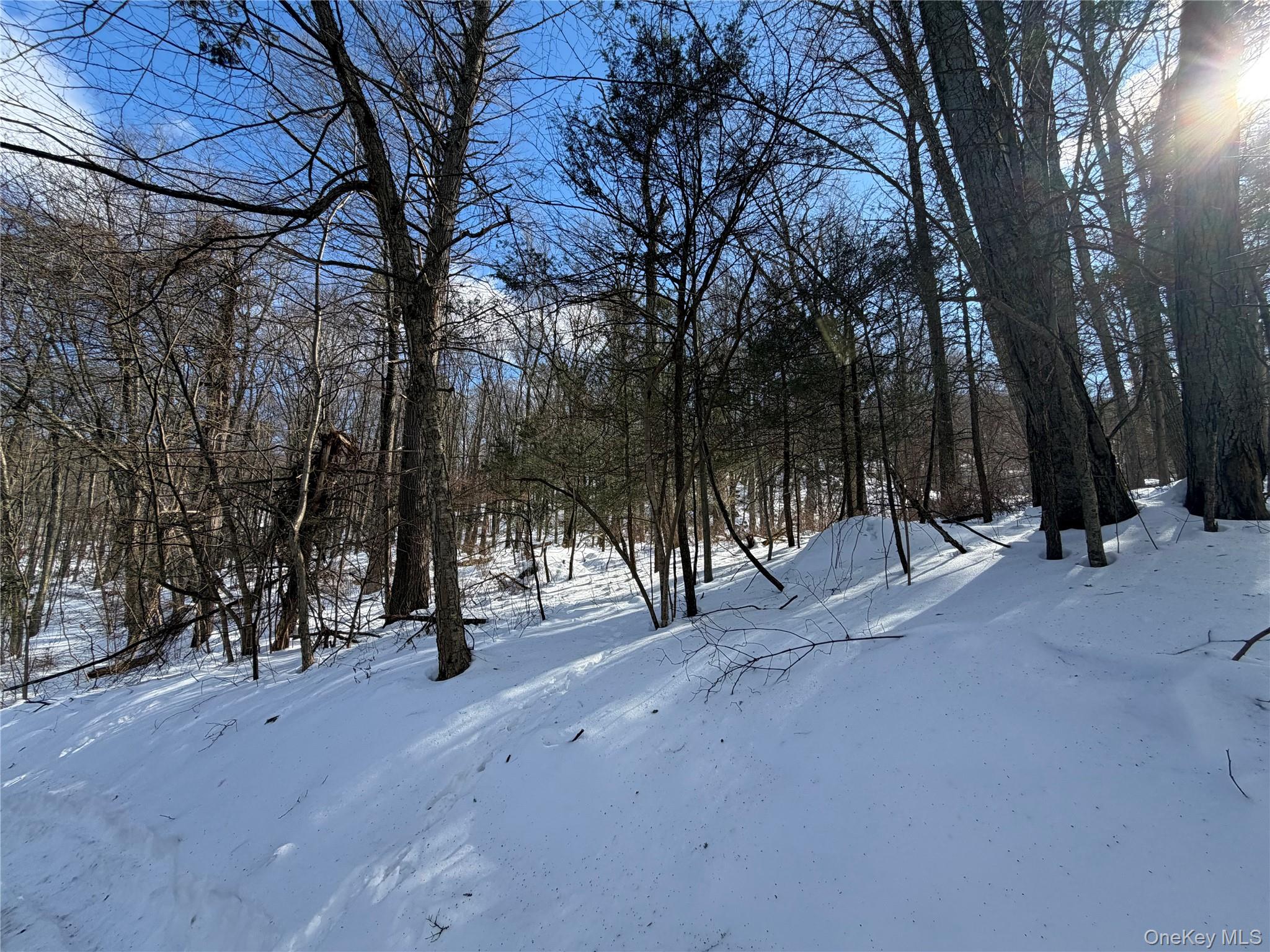 #3 photo, Saw Mill Road, Putnam Valley , NY 10579