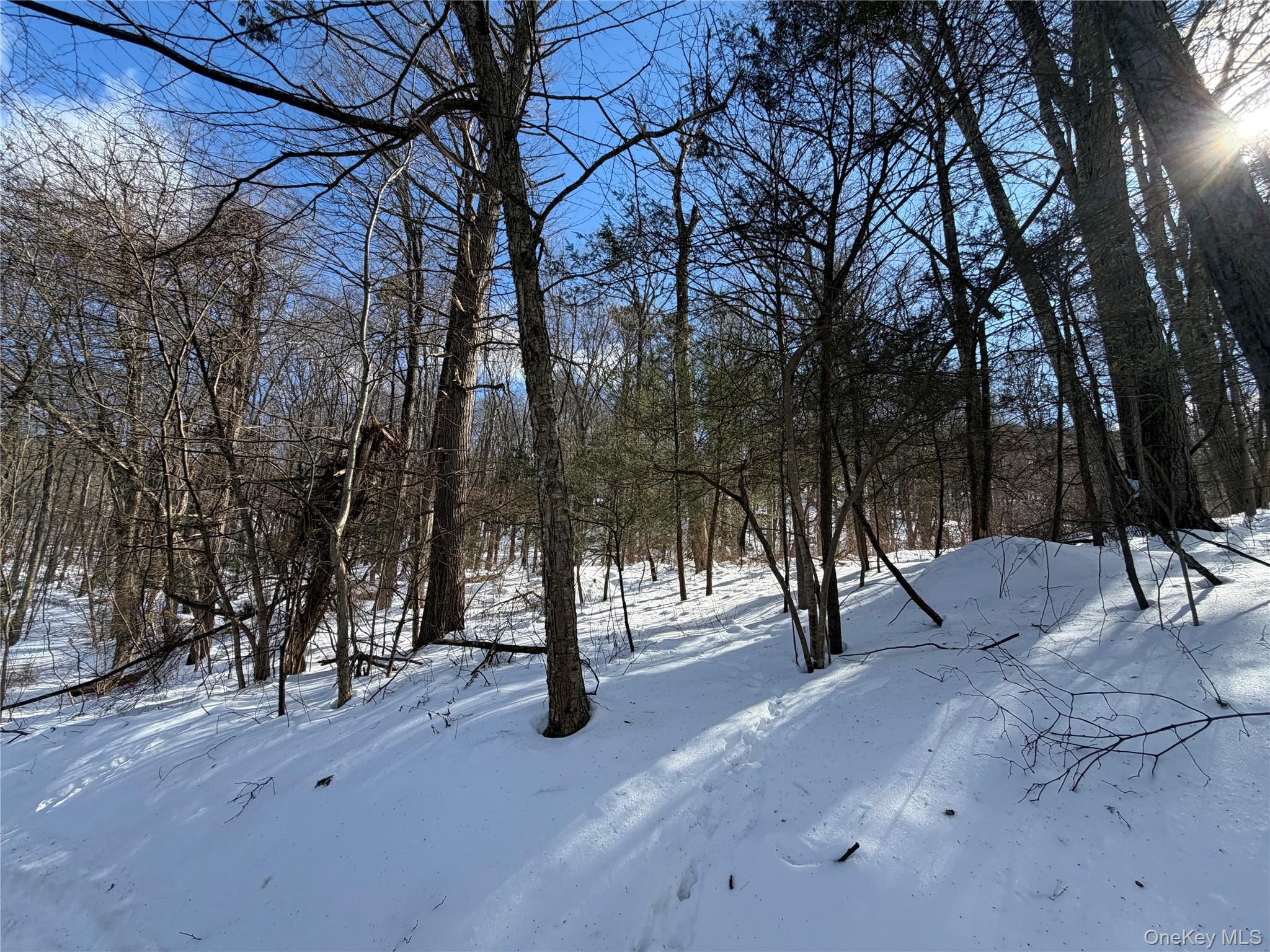 #4 photo, Saw Mill Road, Putnam Valley , NY 10579