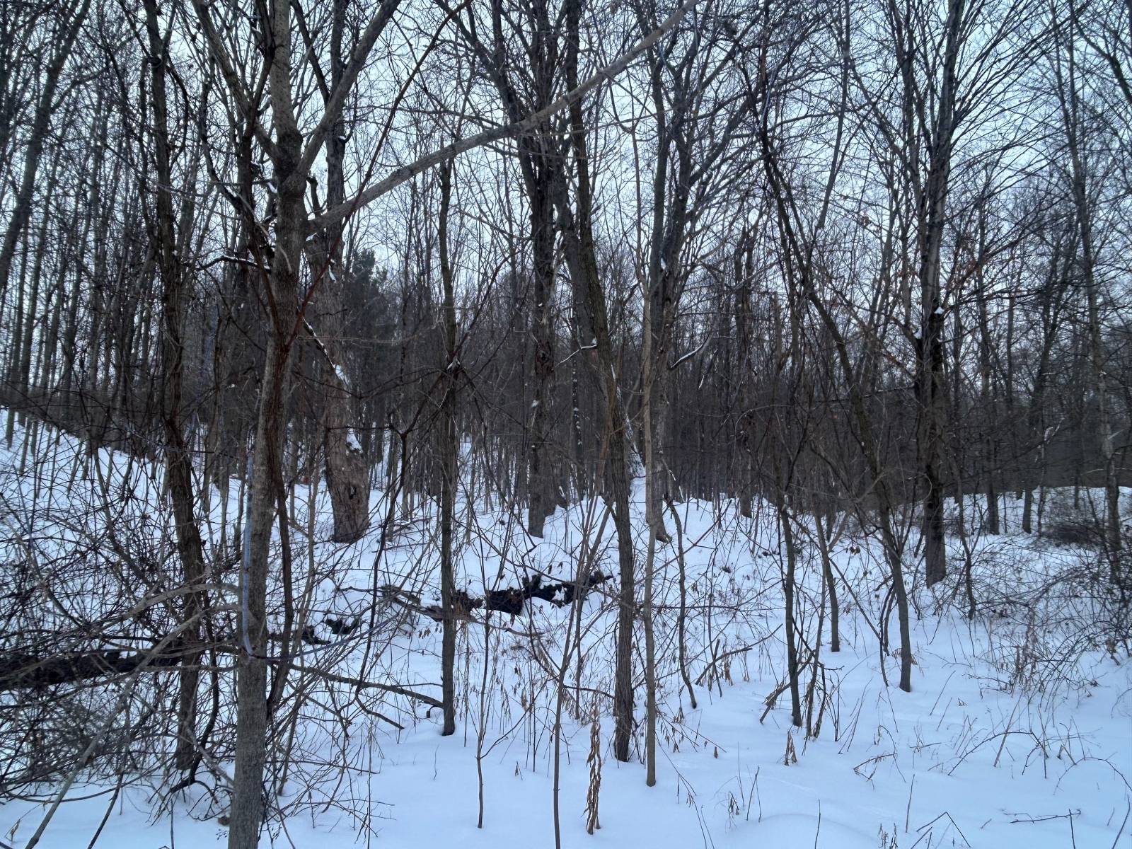 #5 photo, 155 Abraham Road, Amsterdam , NY 12010