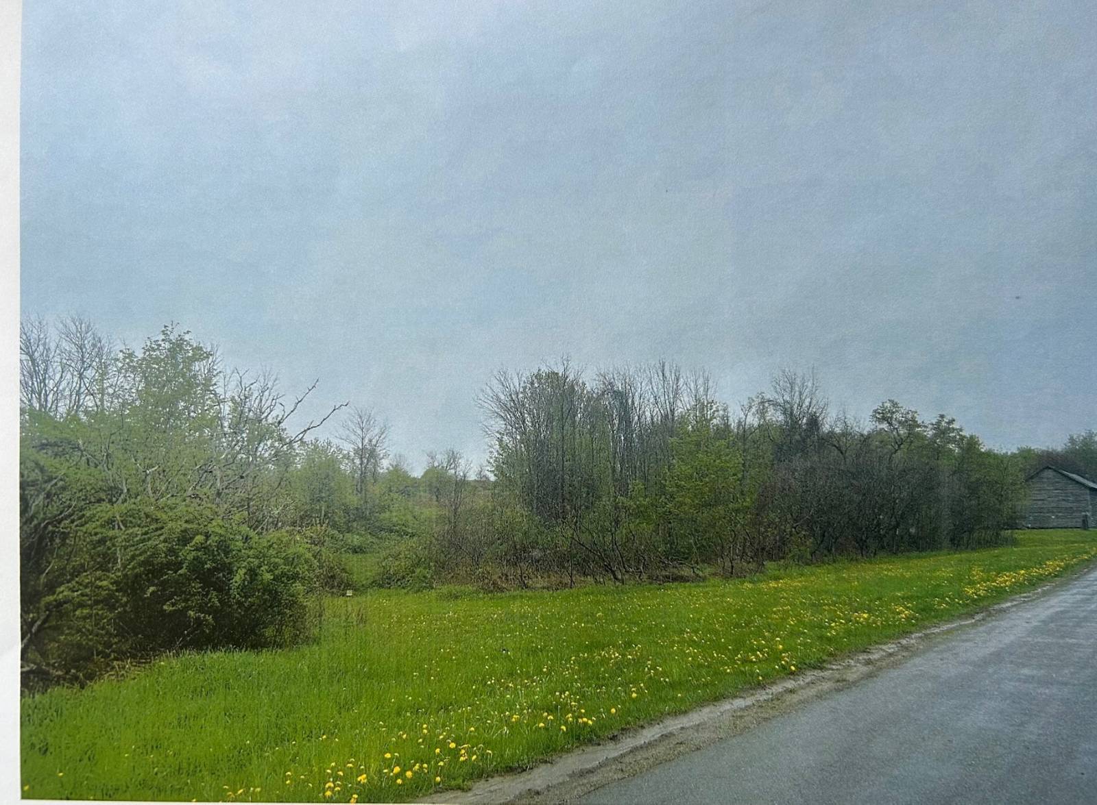 #8 photo, 155 Abraham Road, Amsterdam , NY 12010