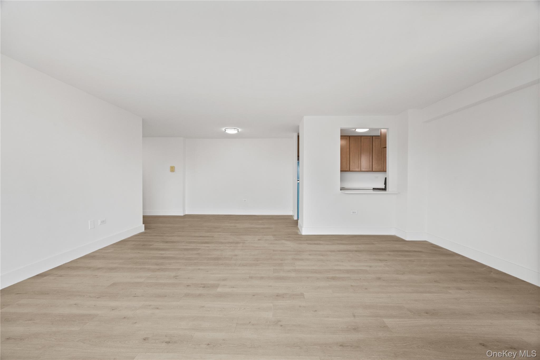 #13 photo, 971 Jerome Street, Brooklyn , NY 11207