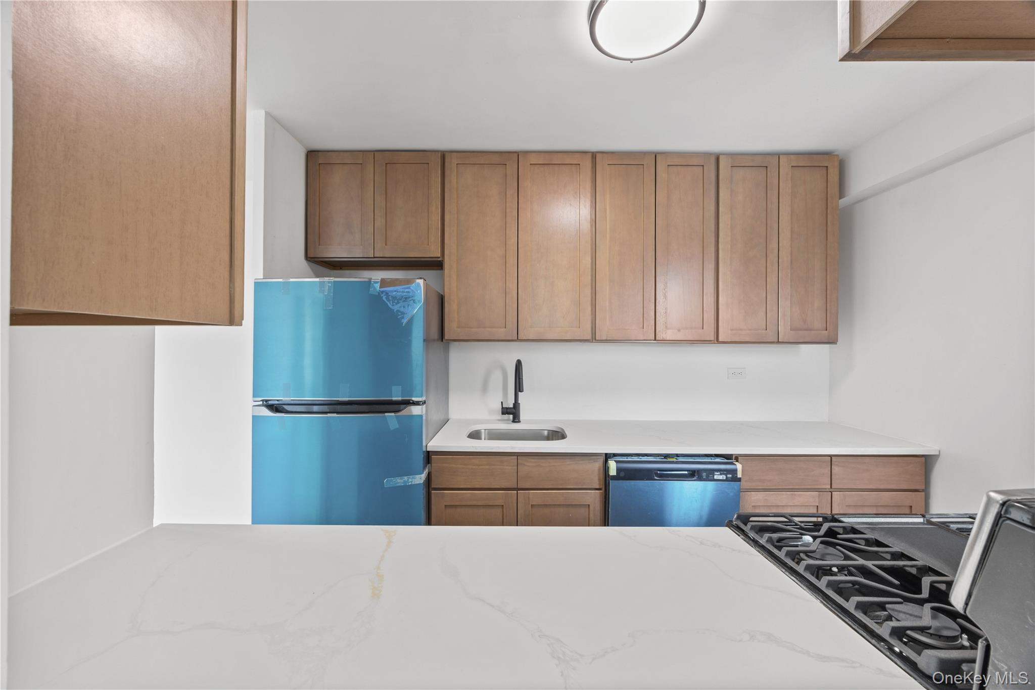 #8 photo, 971 Jerome Street, Brooklyn , NY 11207