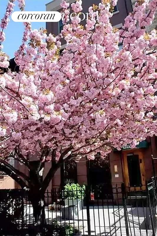 #12 photo, 435A 9TH Street, Бруклин ‖ Park Slope , NY 11215