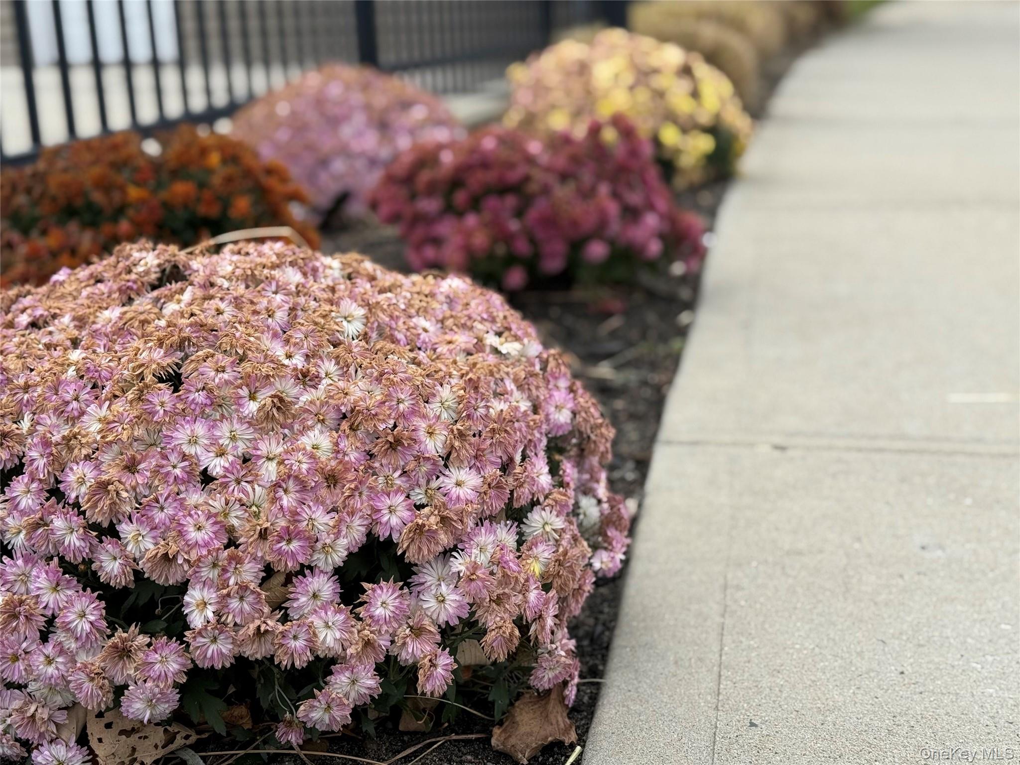 #19 photo, 138 Weatherby Lane, Central Islip , NY 11722