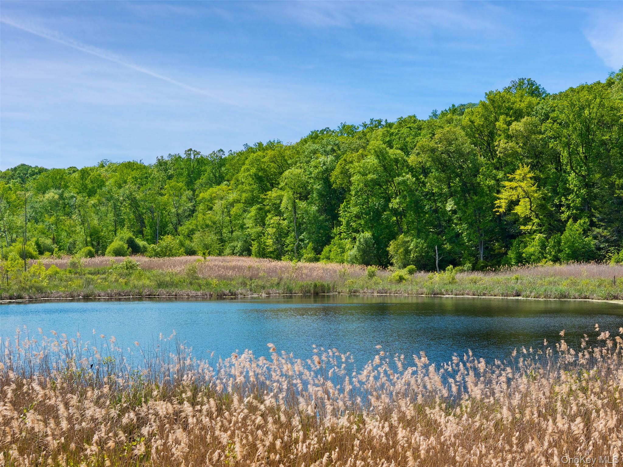 #3 photo, 258 Hardscrabble Road, North Salem , NY 10560