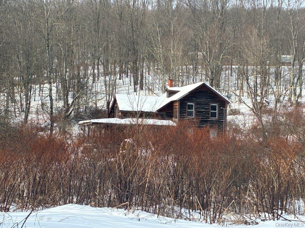 #1 photo, 921 Milton Smith Road, Long Eddy , NY 12760