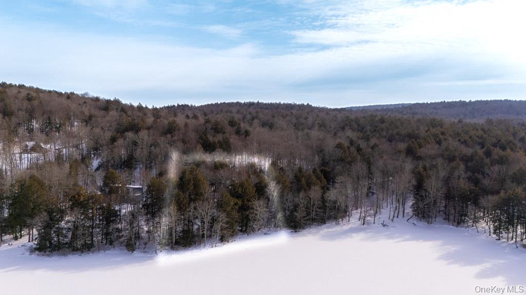 #5 photo, Kenoza Trail, Callicoon , NY 12723