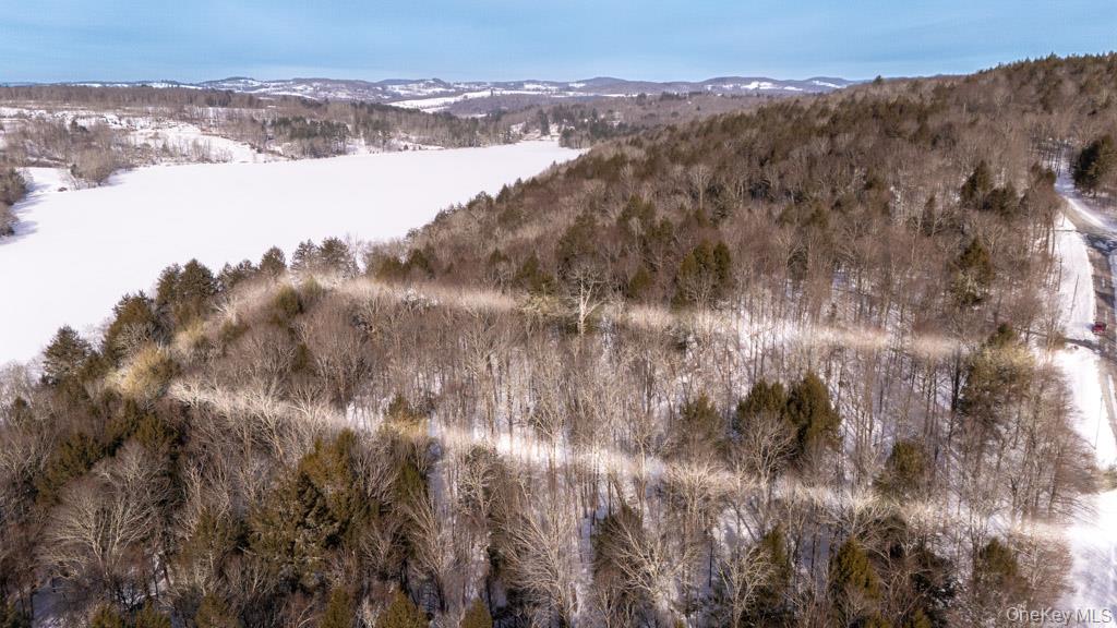 #7 photo, Kenoza Trail, Callicoon , NY 12723