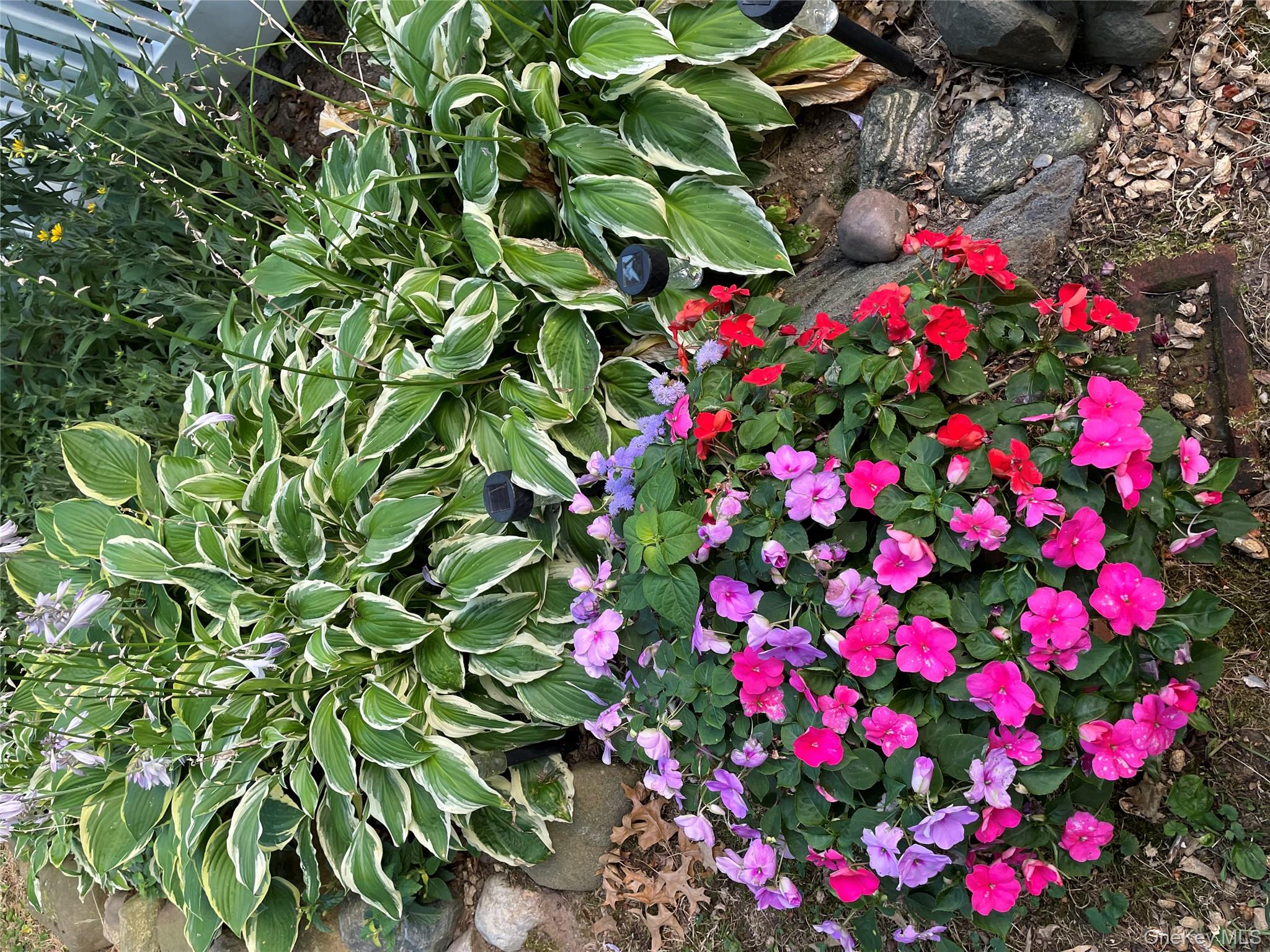 #19 photo, 150-62 Village Road, كوينز Jamaica , NY 11432