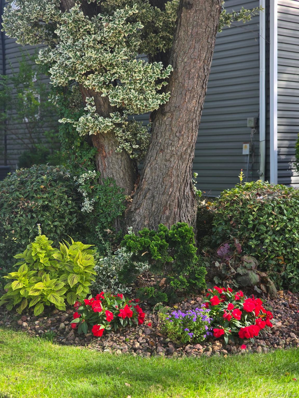 #19 photo, 3391 Lawrence Avenue, Oceanside , NY 11572