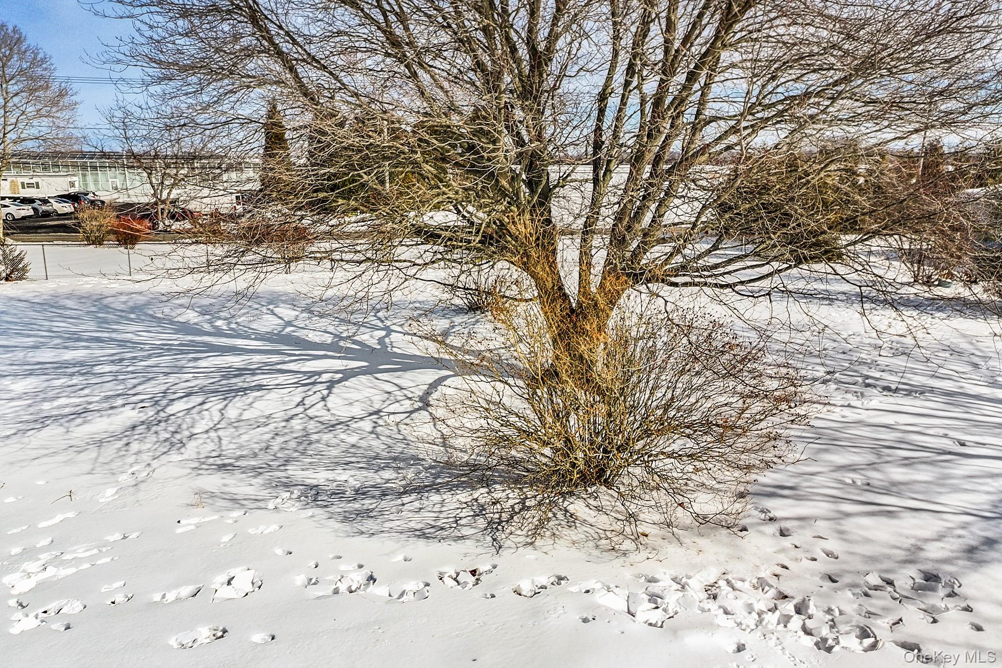 #17 photo, 257 Doctors Path, सफ़ोक काउंटी Riverhead , NY 11901