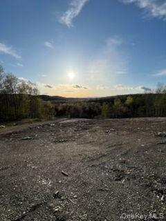 #8 photo, 3362 Route 199, Pine Plains , NY 12567