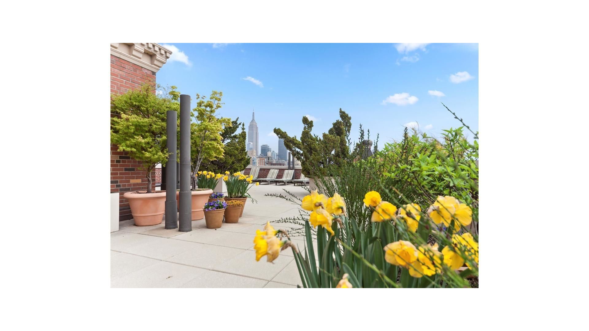 #13 photo, 470 W 24TH Street, ম্যানহাটন Chelsea , NY 10011