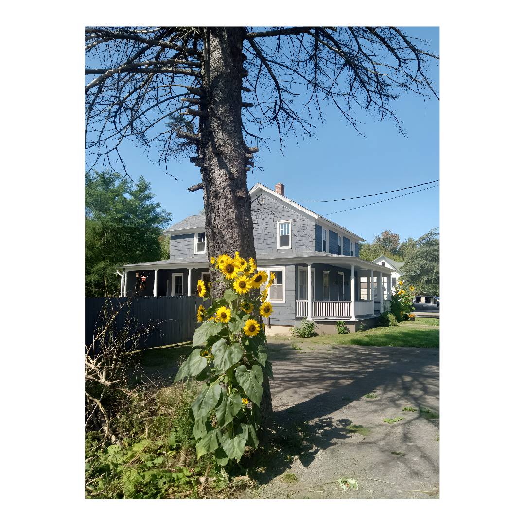 #30 photo, 36734 State Hwy 23, Grand Gorge , NY 12434