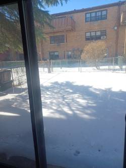 #9 photo, 156-42-78 Street, Howard Beach, NY 11414 