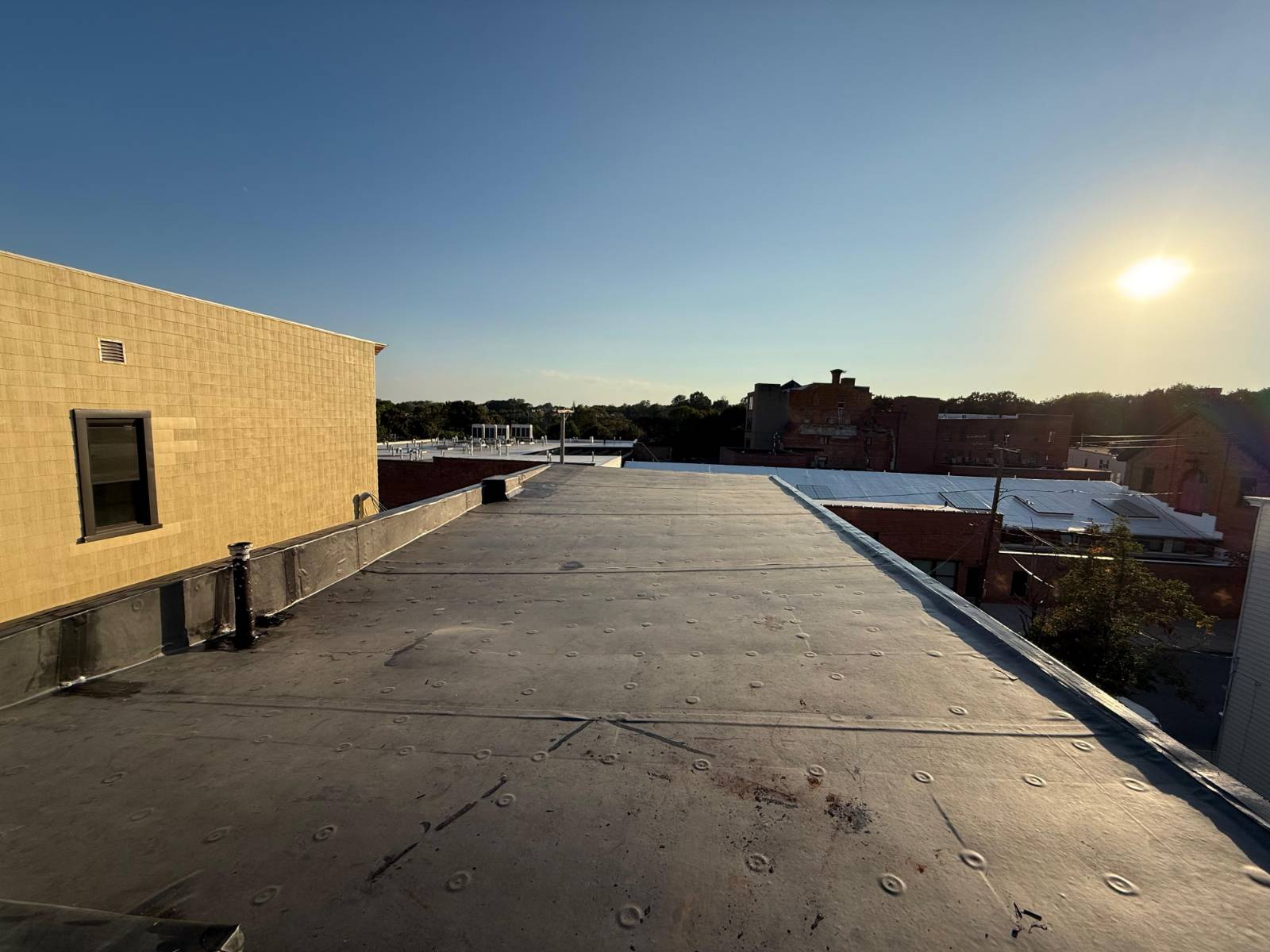 #26 photo, 157 Myrtle Ave, Albany , NY 12202