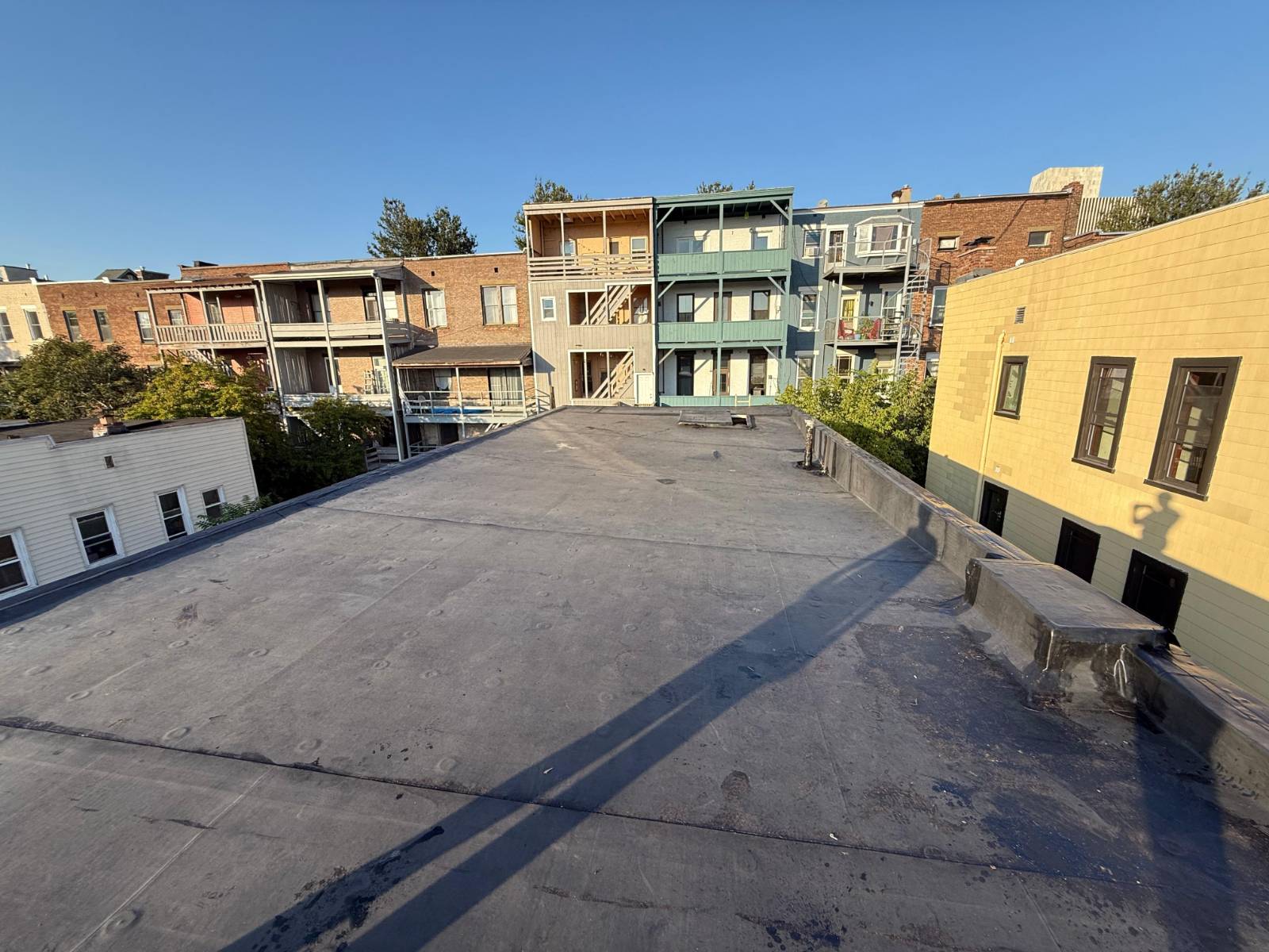 #27 photo, 157 Myrtle Ave, Albany , NY 12202