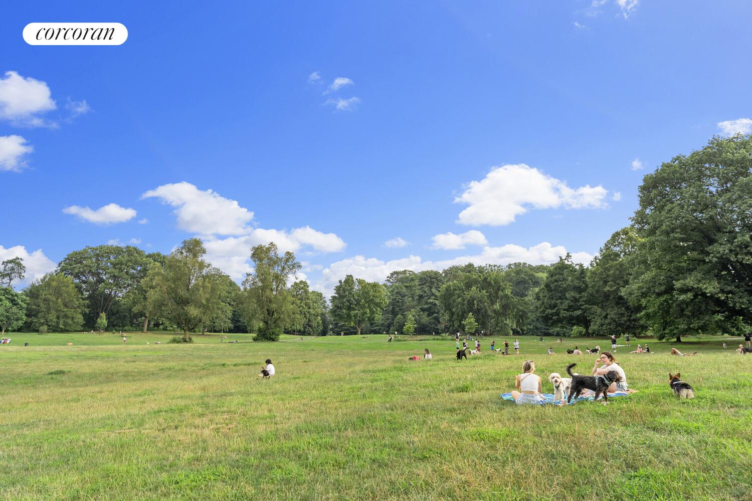 #18 photo, Brooklyn, 布鲁克林 Prospect Lefferts Gardens , NY 11225