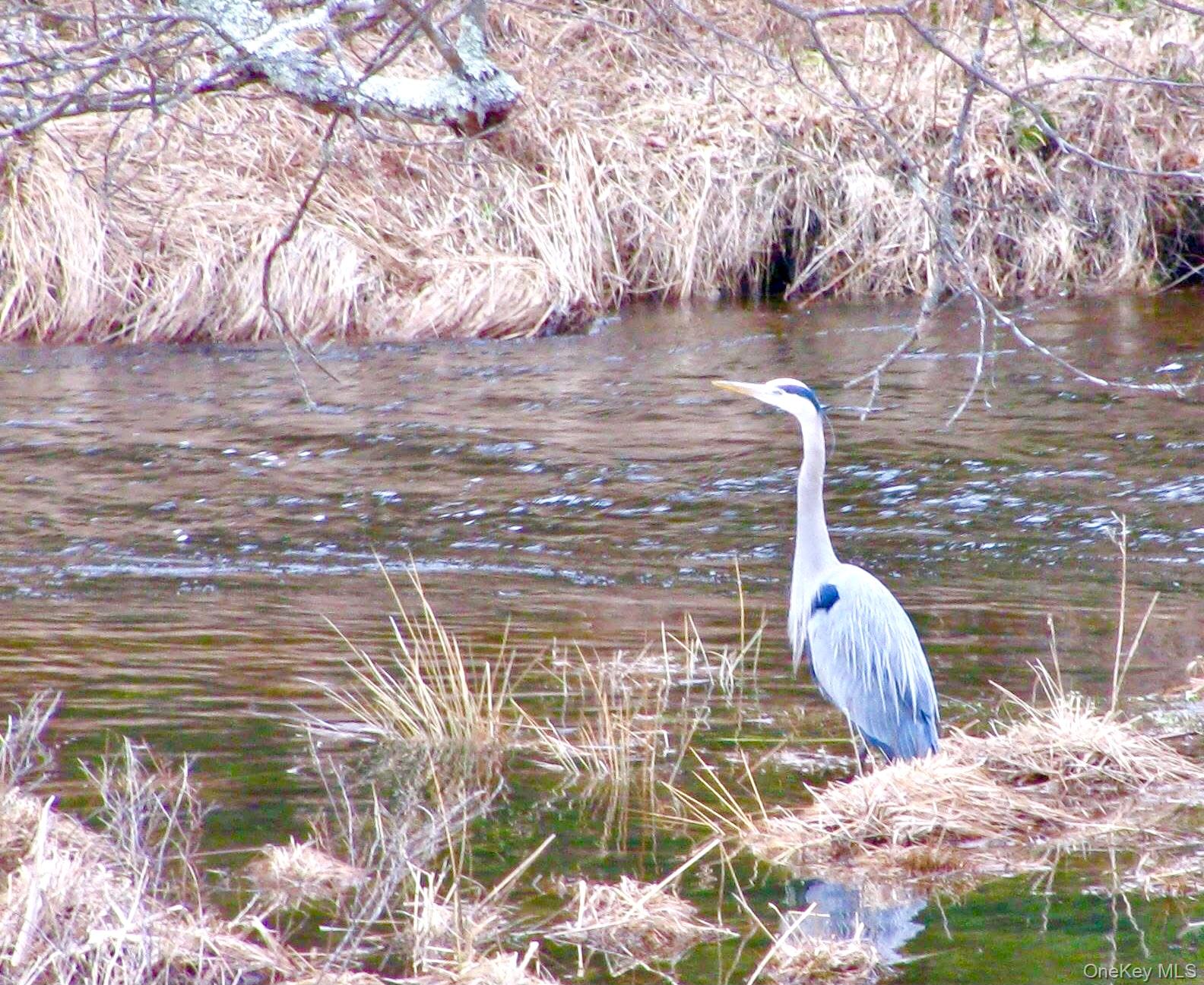 #6 photo, 26 Valley Road, Forestburgh , NY 12777