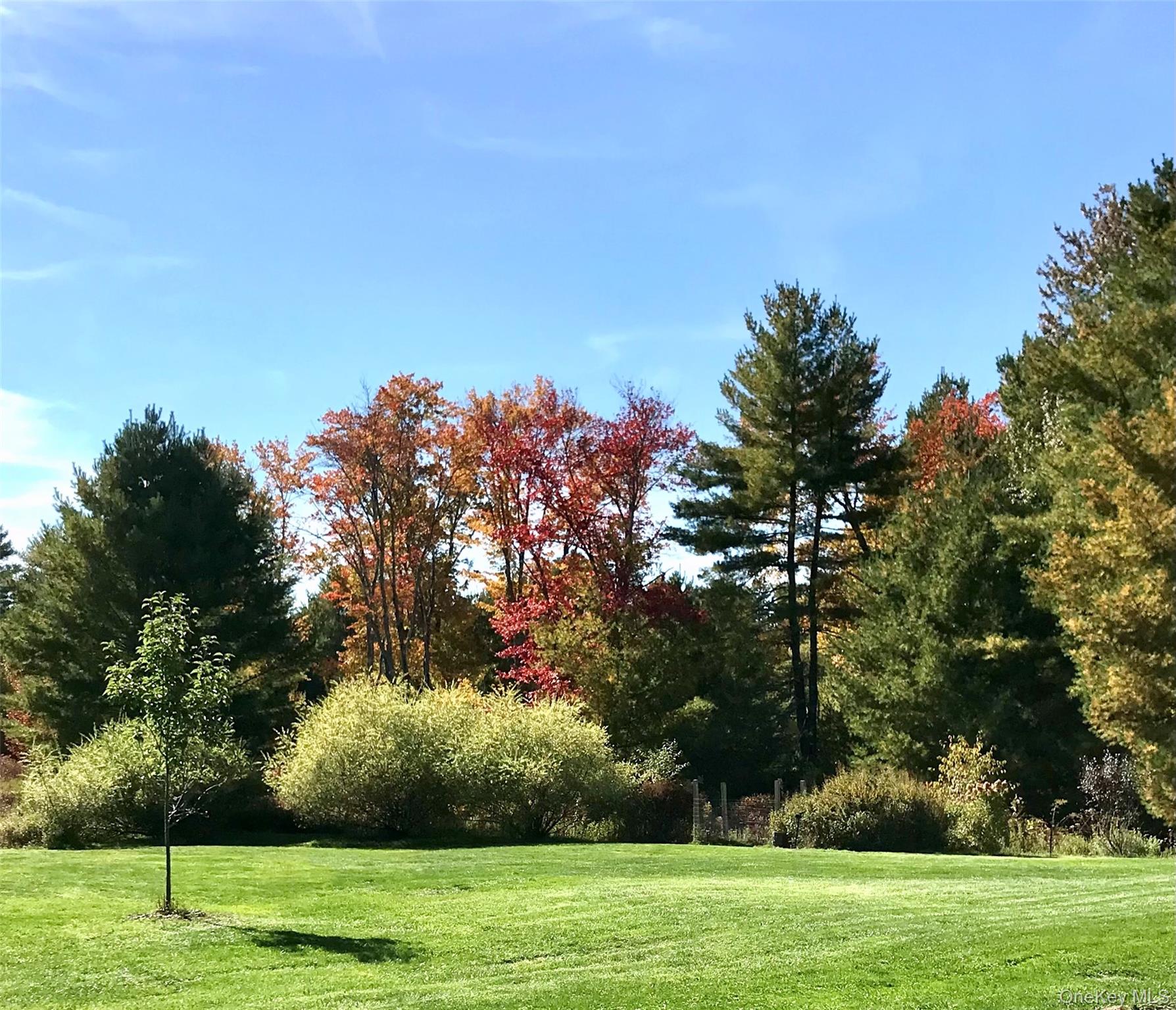 #8 photo, 26 Valley Road, Forestburgh , NY 12777