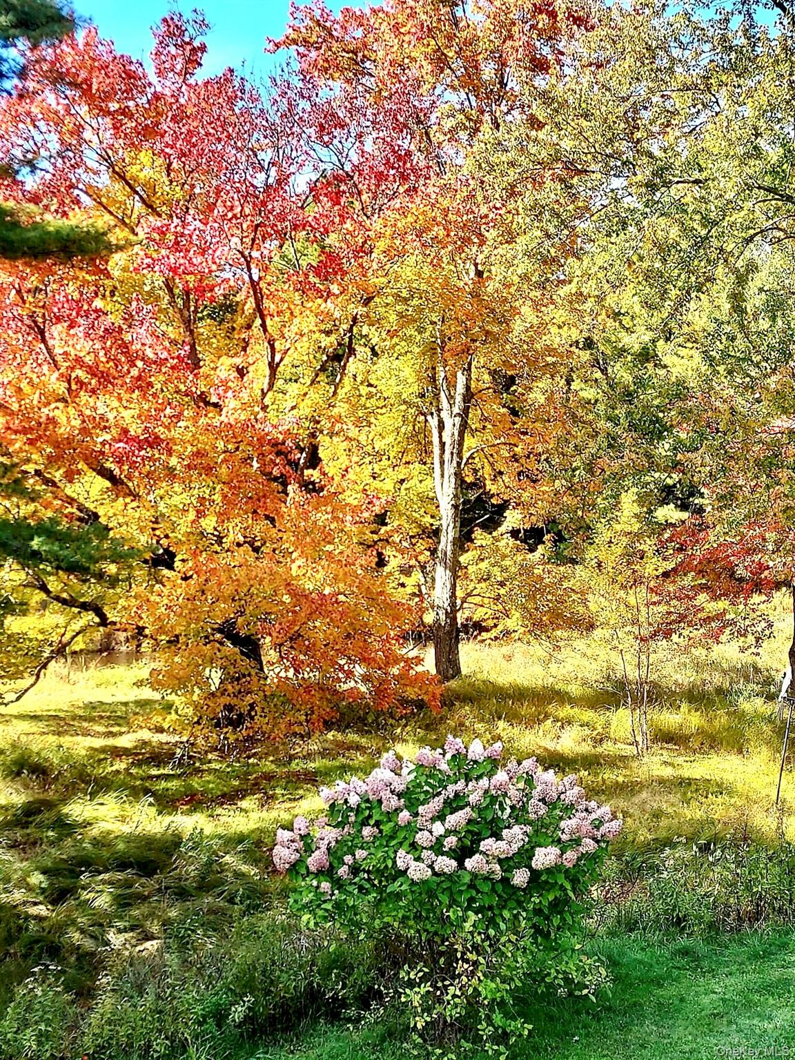 #9 photo, 26 Valley Road, Forestburgh , NY 12777