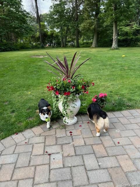 #4 photo, 96 Brooksite Drive, Smithtown , NY 11787