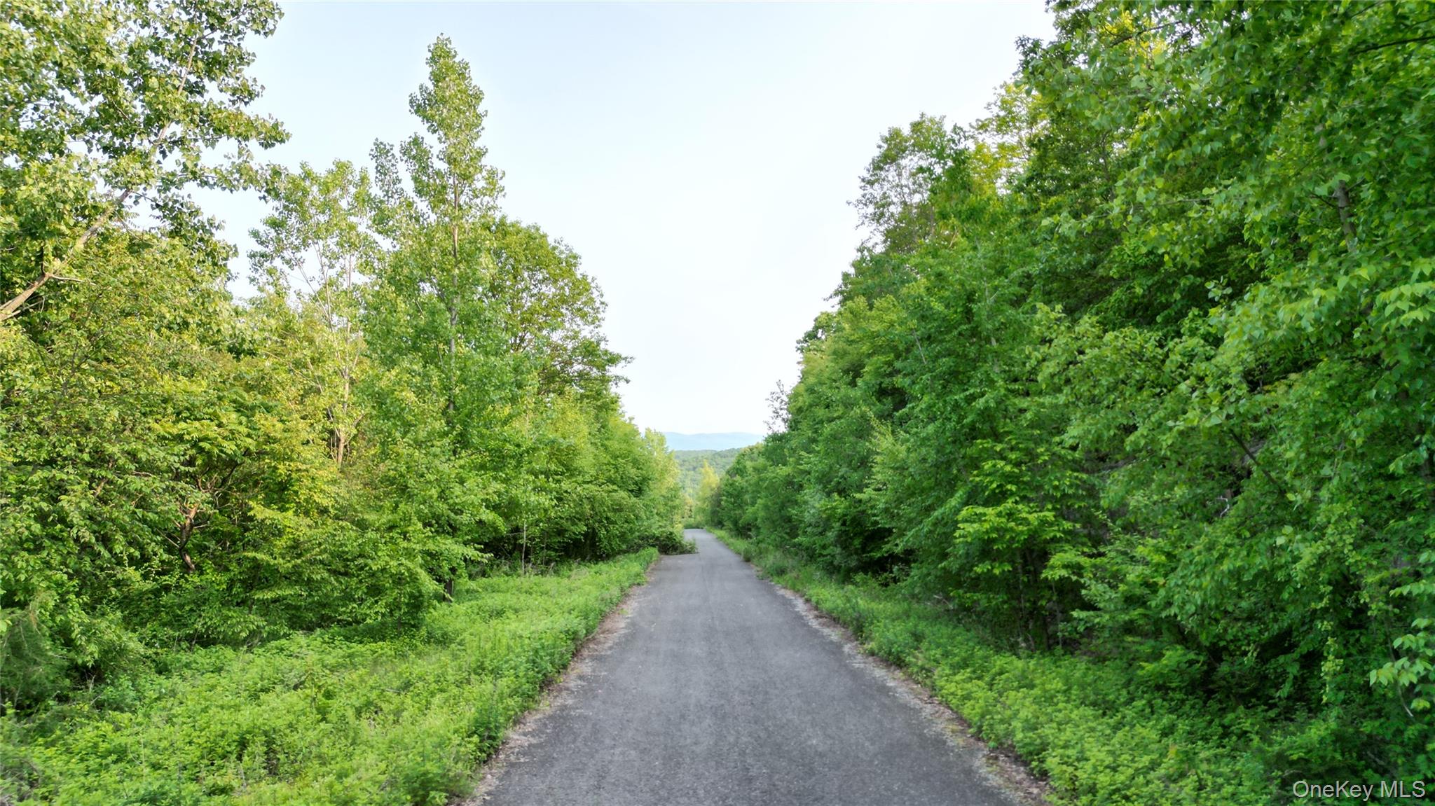 #19 photo, 5 Truncali Drive, Marlboro , NY 12542