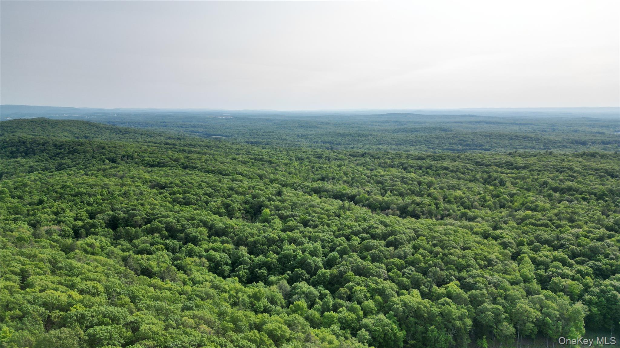 #20 photo, 9 Truncali Drive, Marlboro , NY 12542