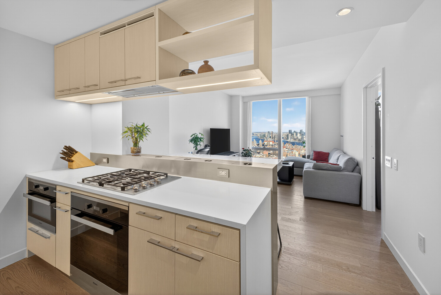 #7 photo, 252 SOUTH Street, Two Bridges , NY 10002