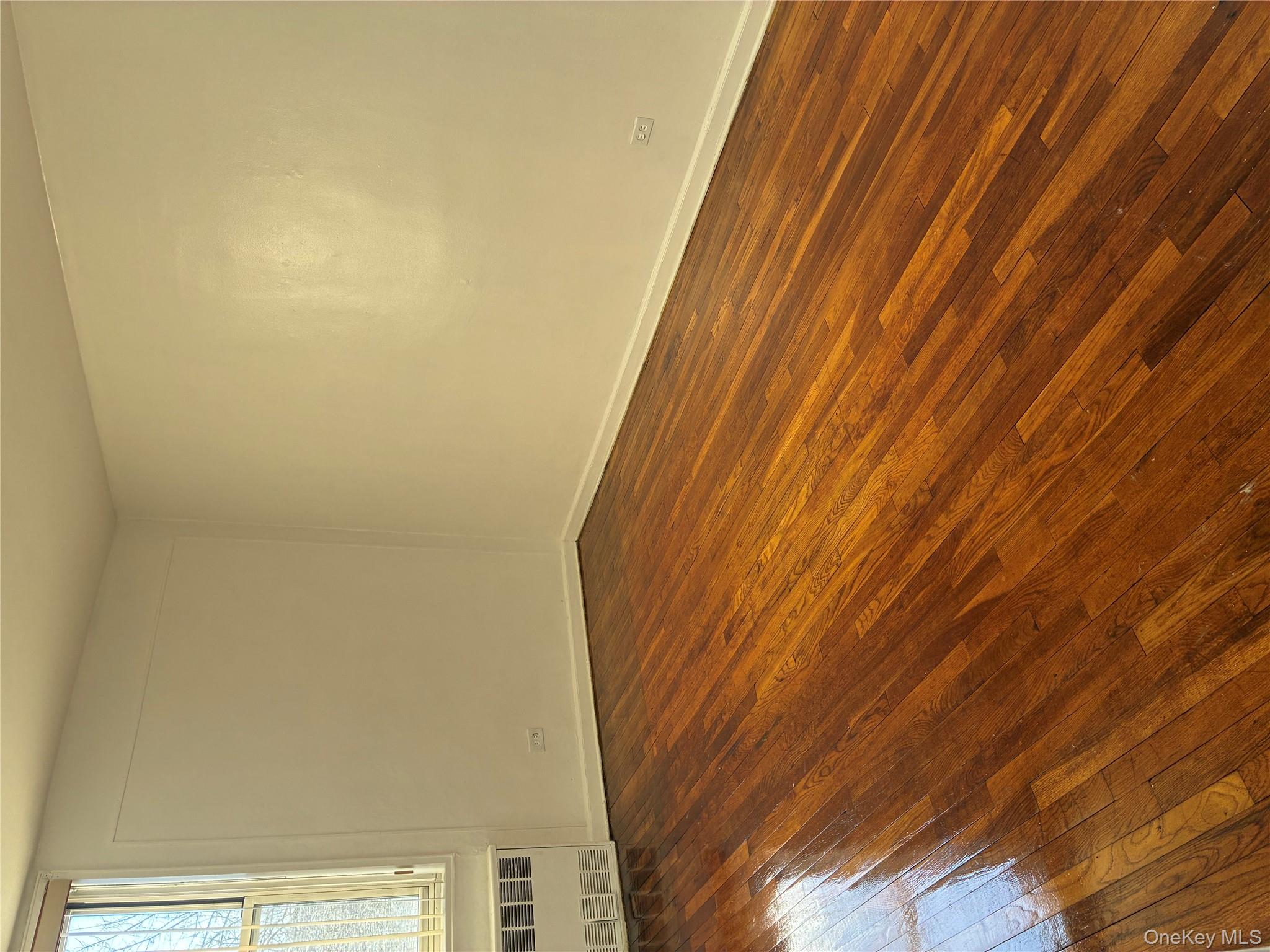 #13 photo, 1430 Thieriot Avenue, 布朗士 Bronx , NY 10460