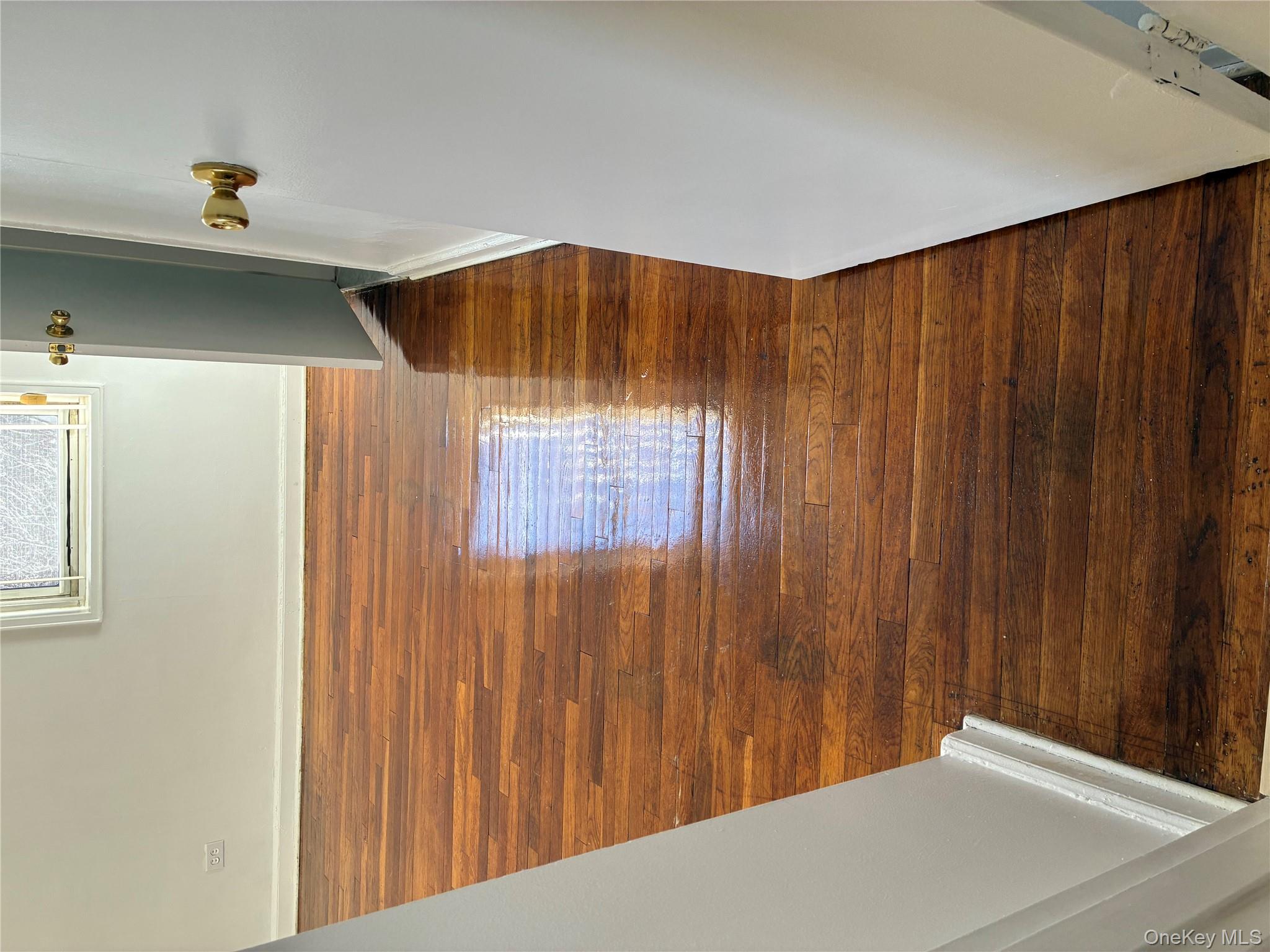 #14 photo, 1430 Thieriot Avenue, 布朗士 Bronx , NY 10460