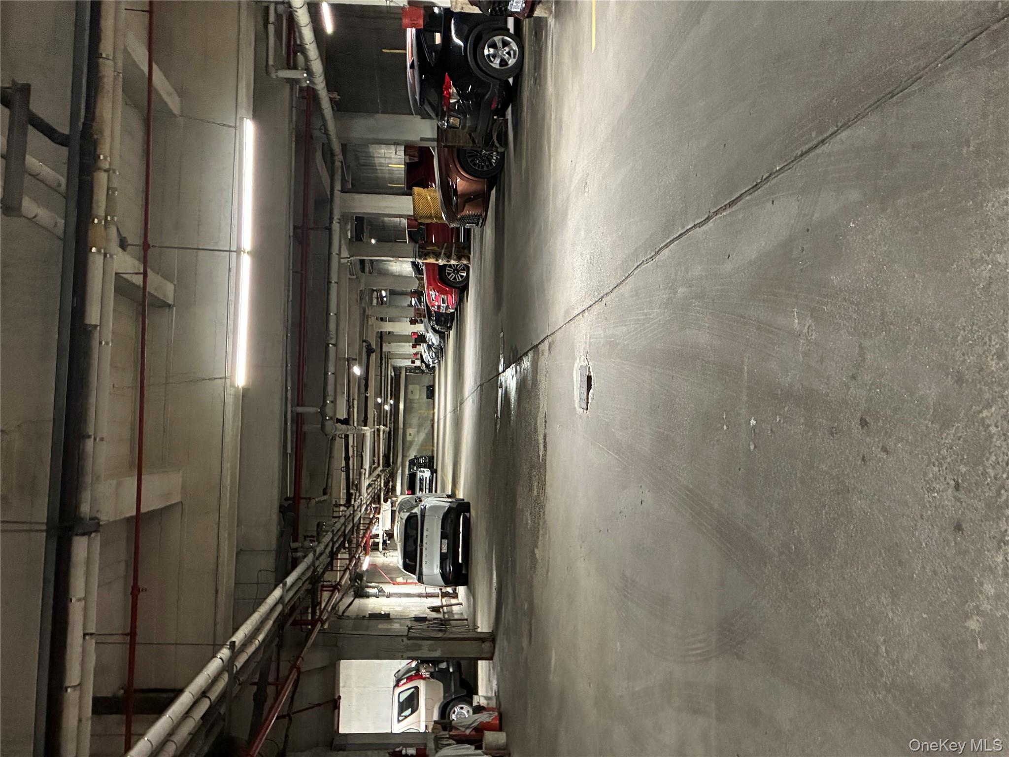 #18 photo, 1430 Thieriot Avenue, 布朗士 Bronx , NY 10460