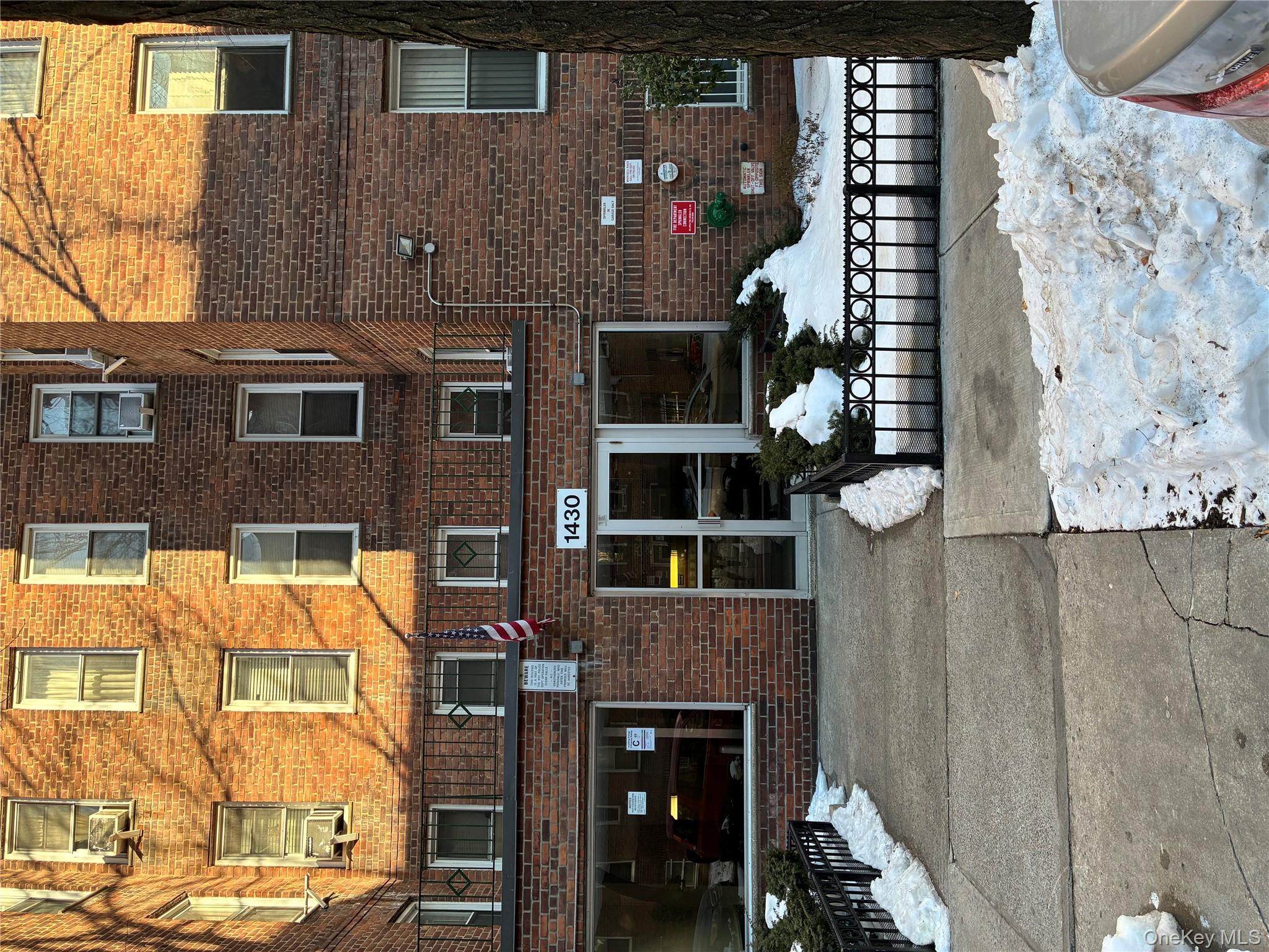 #19 photo, 1430 Thieriot Avenue, 布朗士 Bronx , NY 10460